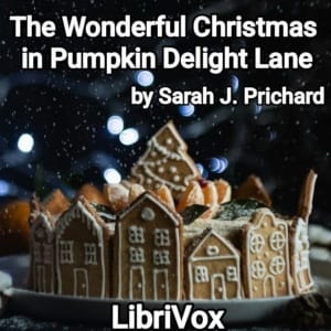 Wonderful Christmas in Pumpkin Delight Lane