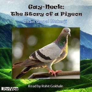 Gay-Neck: The Story of a Pigeon