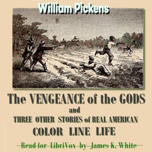 Vengence of the Gods: And Three Other Stories of Real American Color Line Life
