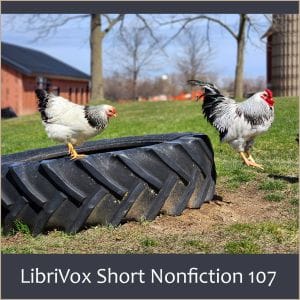 Short Nonfiction Collection, Vol. 107