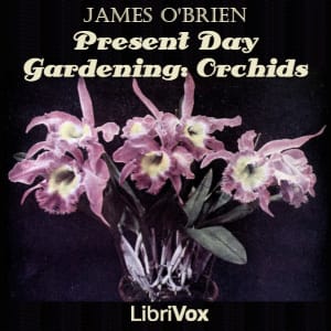 Present Day Gardening: Orchids