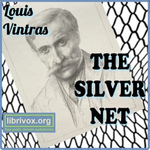 Silver Net