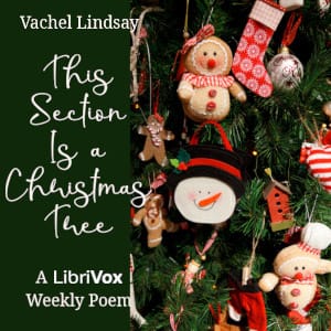 This Section is a Christmas Tree