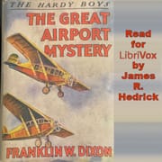 Great Airport Mystery
