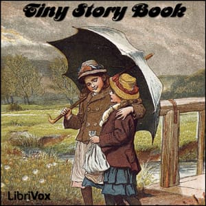 Tiny Story Book
