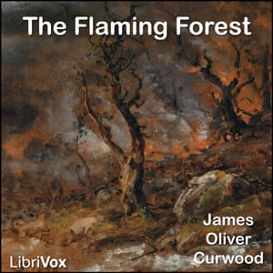 Flaming Forest