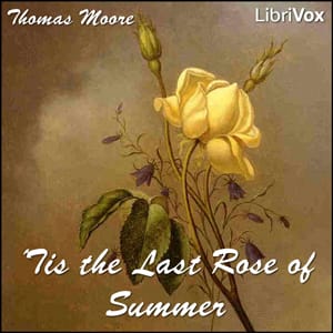 Tis the Last Rose of Summer