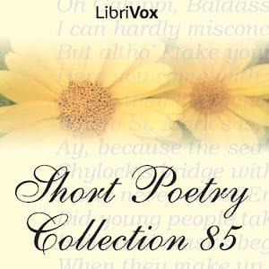 Short Poetry Collection 085