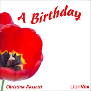Birthday