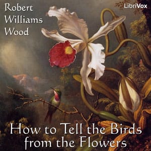 How to Tell the Birds from the Flowers
