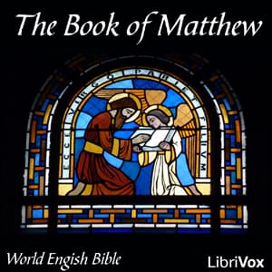 Bible (WEB) NT 01: Matthew