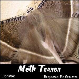 Moth Terror