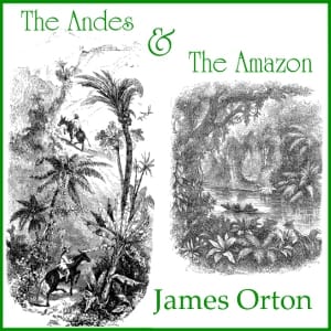 Andes and The Amazon