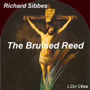 Bruised Reed