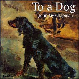 To a Dog