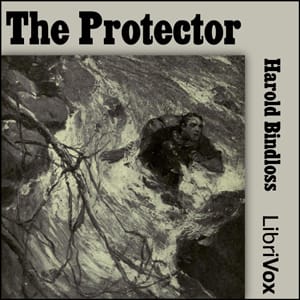 Protector