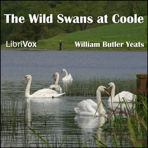 Wild Swans at Coole