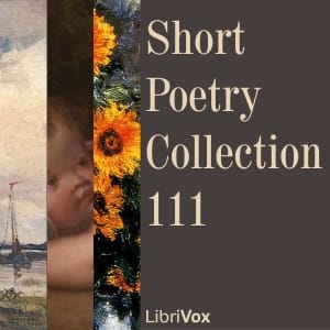 Short Poetry Collection 111
