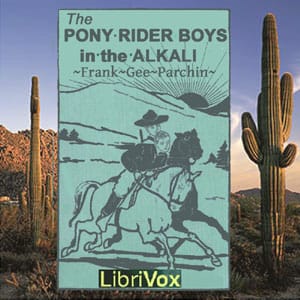 Pony Rider Boys in the Alkali