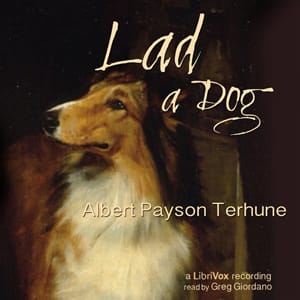 Lad: A Dog