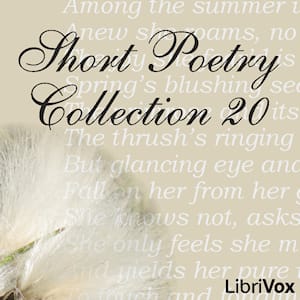 Short Poetry Collection 020