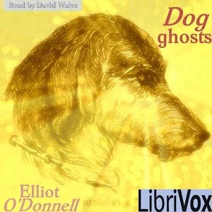 Dog Ghosts