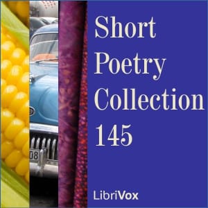 Short Poetry Collection 145