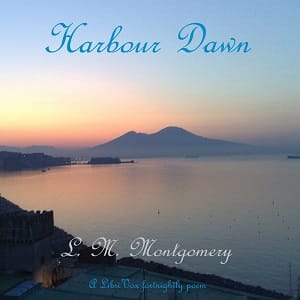 Harbour Dawn