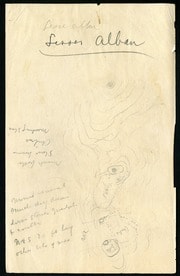 Monte Alban (Oaxaca), Mexico, 1895