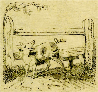 The Remarkable Adventures of an Old Woman and Her Pig: An Ancient Tale in a Modern Dress