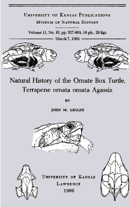 Natural History of the Ornate Box Turtle, Terrapene Ornata Ornata Agassiz