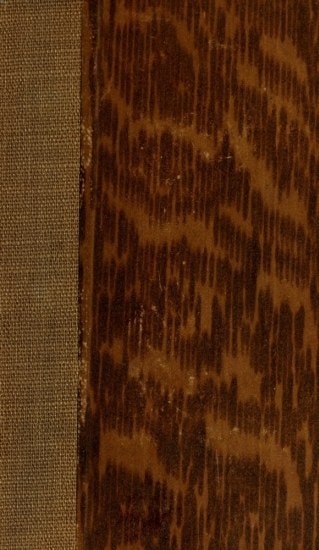 La Guerre Injuste: Lettres D'un Espagnol