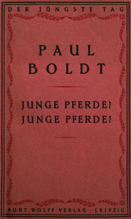 Junge Pferde! Junge Pferde!
