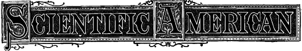 Scientific American, Vol. Xxxix.no. 6. [New Series.], August 10, 1878
