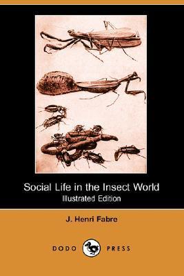 Social Life in the Insect World