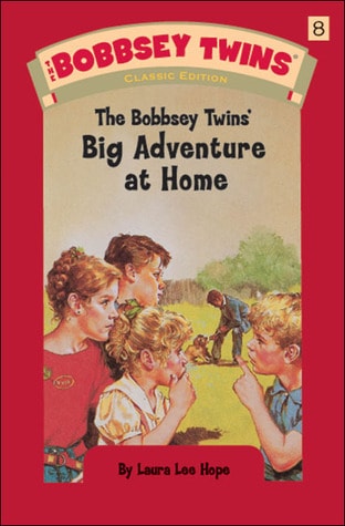 The Bobbsey Twins at Home