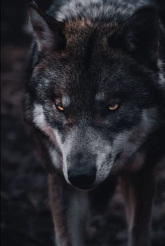 The Hound of the Baskervilles