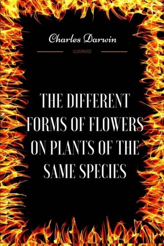 The Different Forms of Flowers on Plants of the Same Species