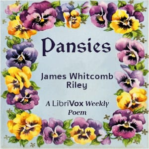 Pansies