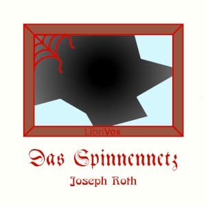 Spinnennetz