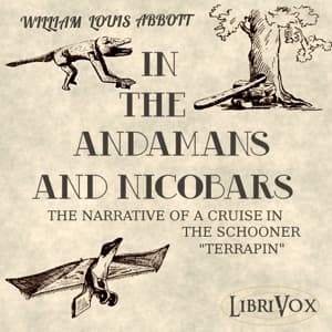 In the Andamans and Nicobars