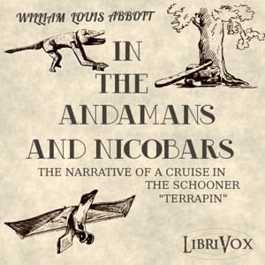 In the Andamans and Nicobars