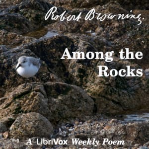 Among The Rocks
