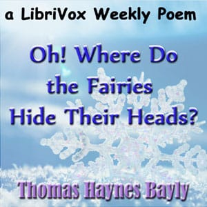 Oh! Where do the Fairies Hide Their Heads