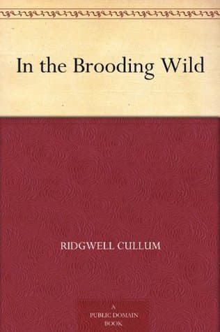 In the Brooding Wild