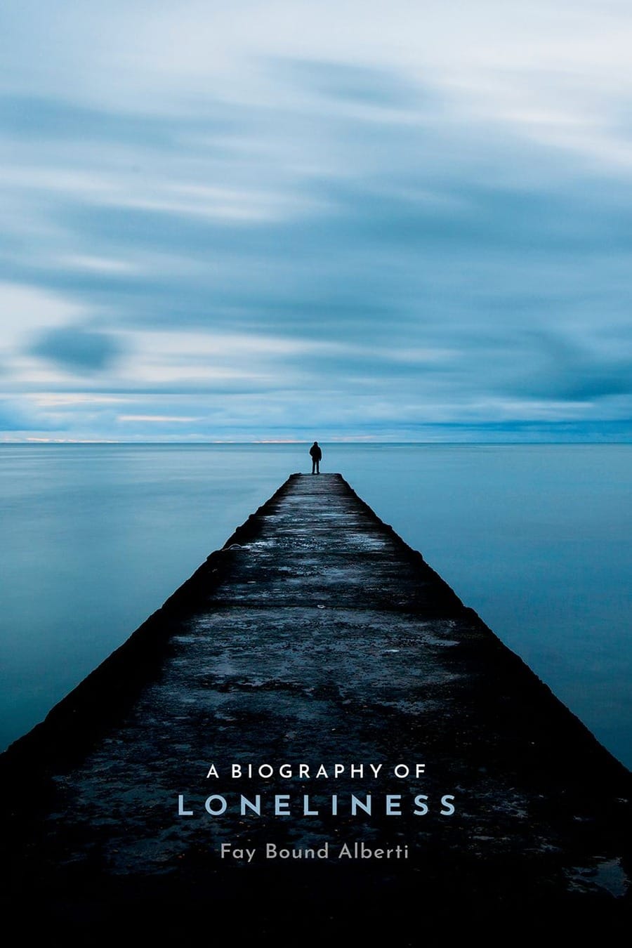 ǂA ǂbiography of loneliness: ǂthe ǂhistory of an emotion (Comprehensive Summary)