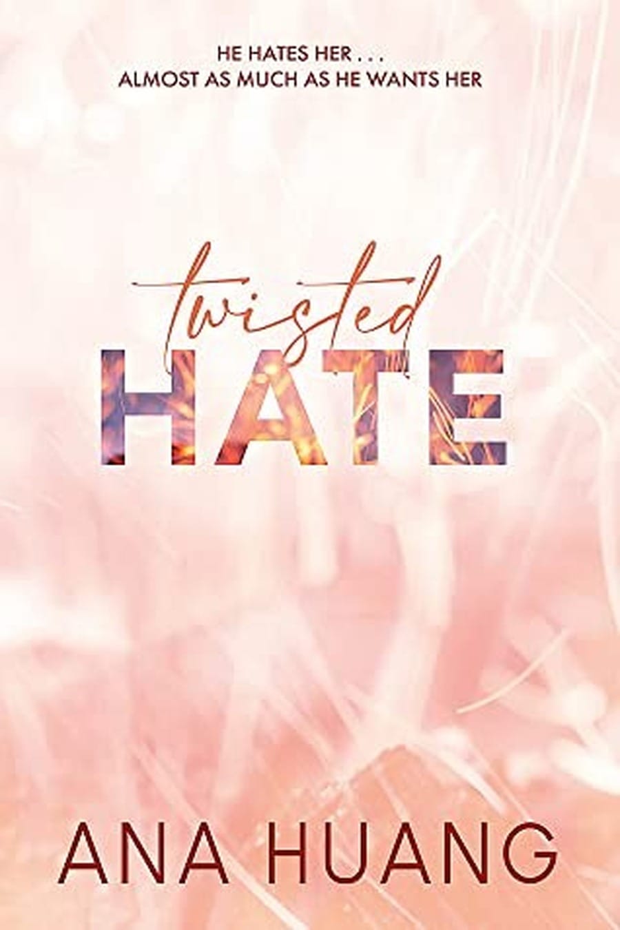 Twisted Hate (Comprehensive Summary)