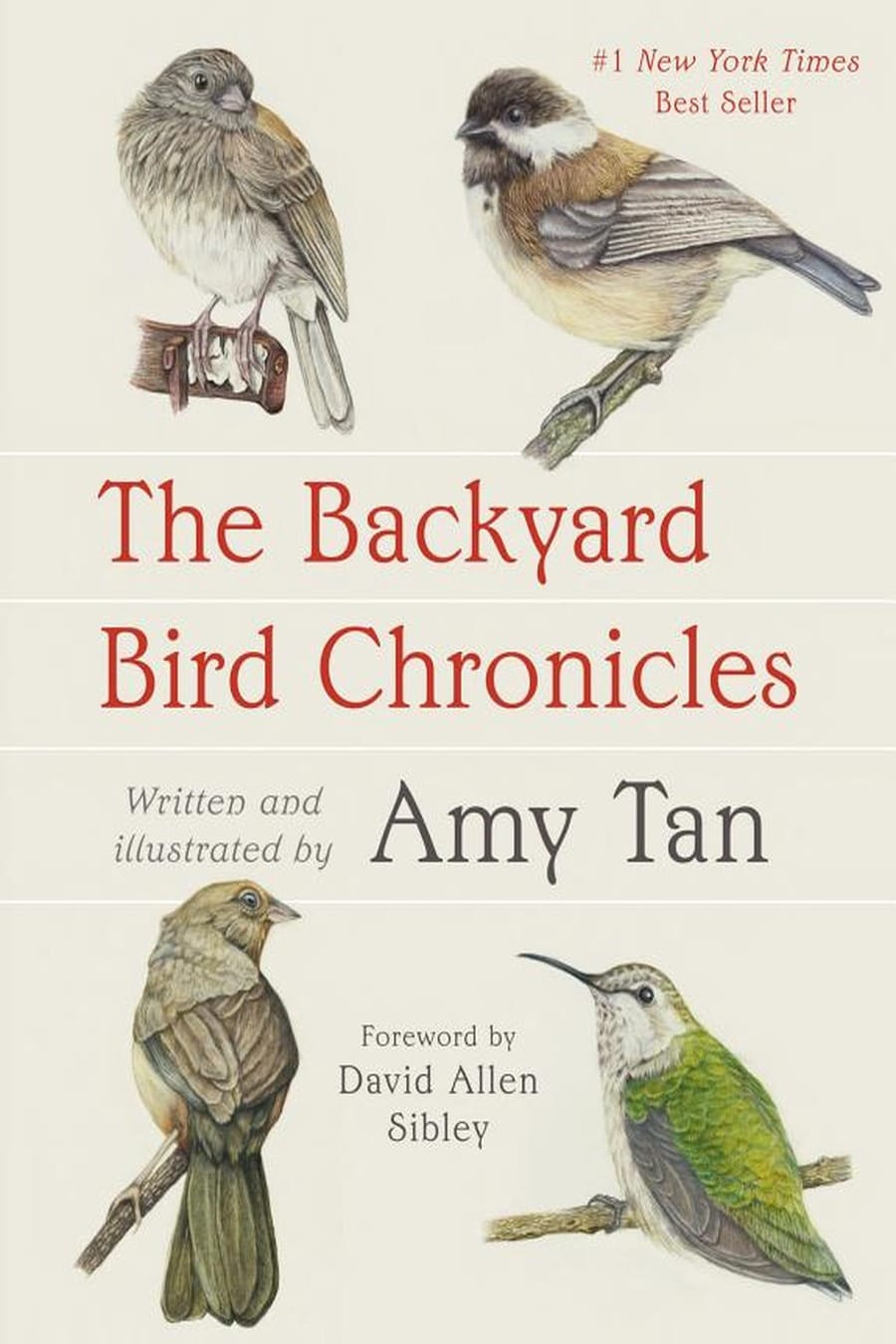 The Backyard Bird Chronicles (Comprehensive Summary)