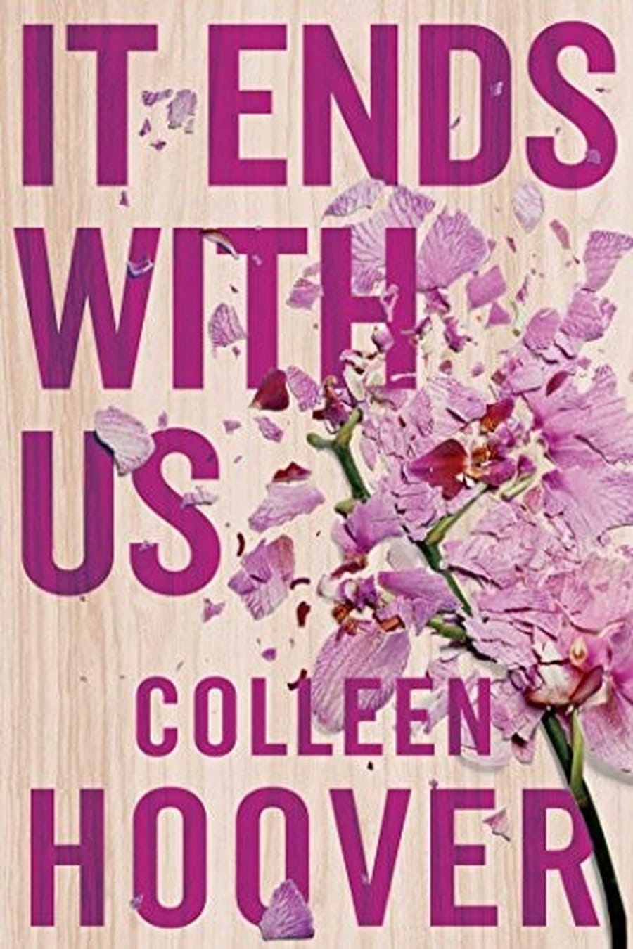It Ends with Us (Comprehensive Summary)
