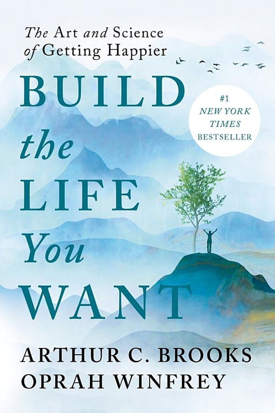 Build the Life You Want (Comprehensive Summary)